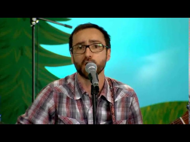 The Shins