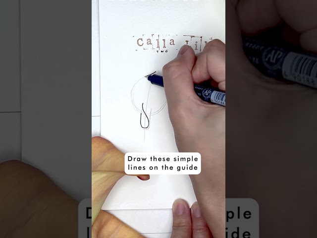 How to draw a calla lily from the ultimate flower drawing guide book ✨