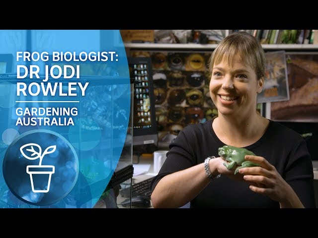 My Garden Path: Frog Biologist Dr Jodi Rowley on studying Australia’s amazing frogs