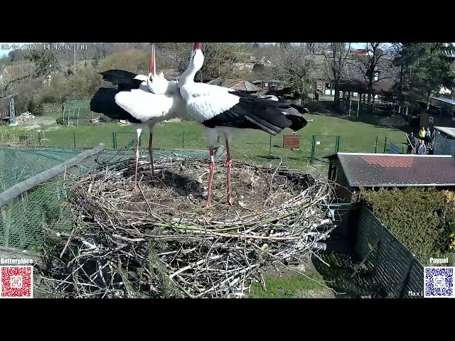 Current information from Loburg - May 13, 2026