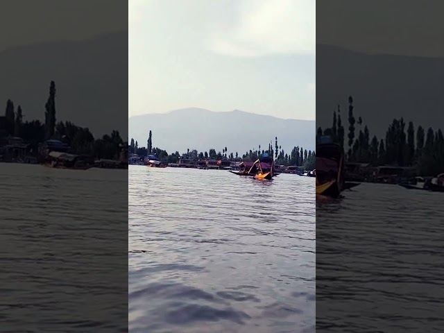 #dallake