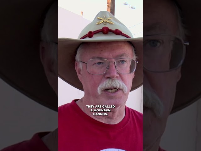 PRICEY Appraisal for This Cannon | Pawn Stars | #Shorts
