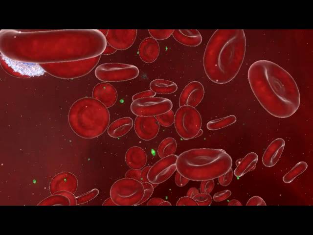 Inhibiting Malaria