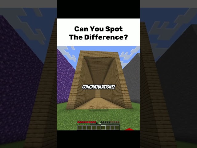 Can You Spot The Difference?