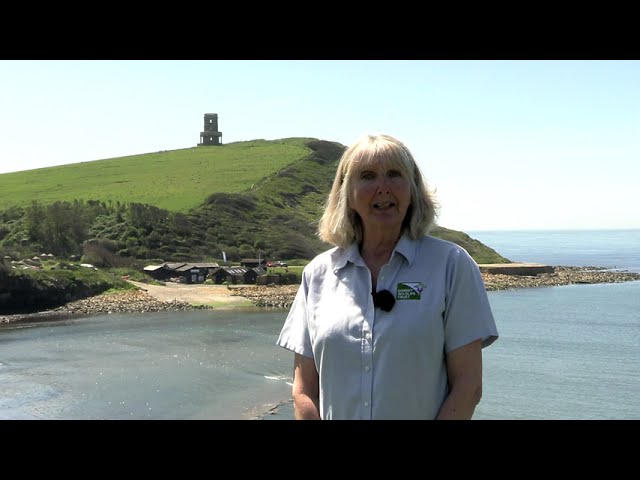 Kimmeridge Bay