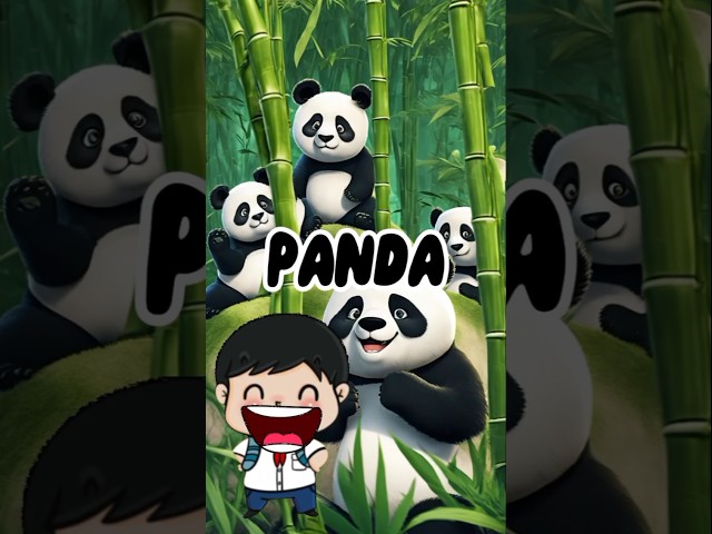 Can a Panda Be THIS Lazy #Panda #kidpanda #animalforkids #educationkids #junggle #animals #animation