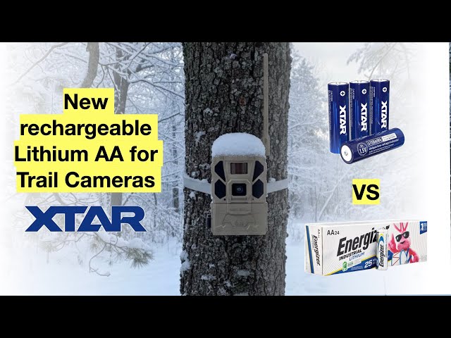 Rechargeable Lithium Batteries for Cellular Trail Cameras by XTAR - Cold weather / Deer Hunting
