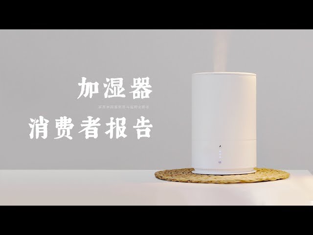 爱否 Fview 加湿器消费者报告