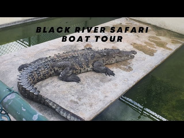 BLACK RIVER SAFARI TOUR
