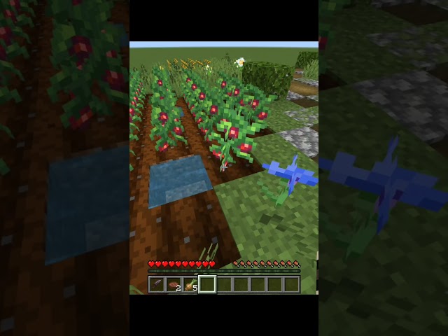 Part 29 | This mod let you cook!! #minecraft #minecraftmods