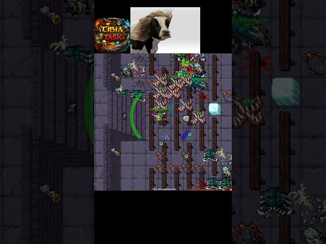 :'/ #tibia #tibiaclips #tibiashorts #tibiagame #tibia2026
