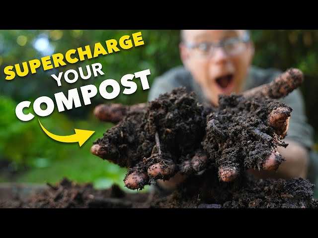 Compost Masterclass: The Easy Way to Make Compost