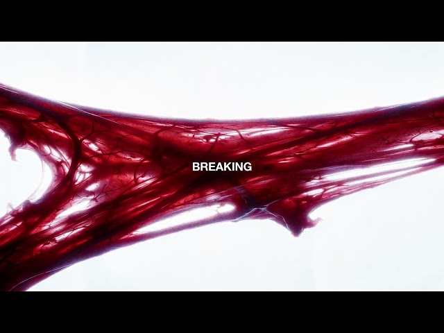 bødyWash. - puLL [Official Lyric Video]