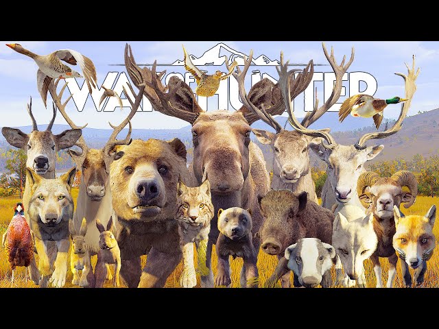 I Hunt Every Animal on Lintukoto Reserve | Way of the Hunter