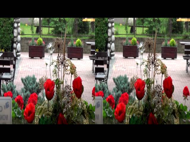 Api 1 Zakopane 3D FullHD