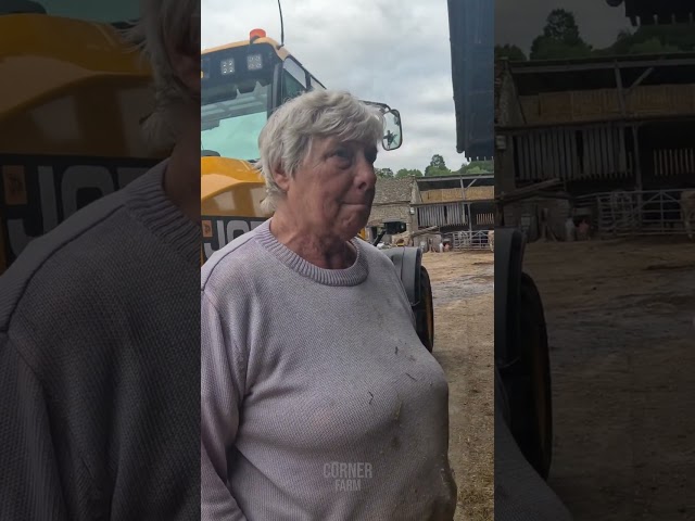 Granny is NOT happy with her cows...🫣 #shorts #funny #fyp #farming #bull #cow #trending