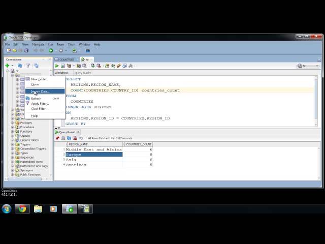 SQL Developer import : sqlvids