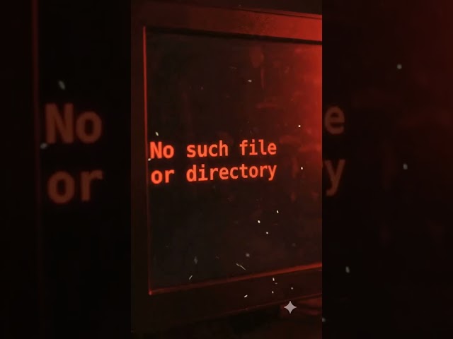 I Deleted a File… Then Recovered It Like This 😱