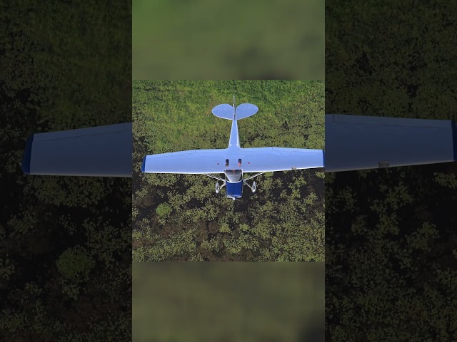 Flying Into the Weekend Like...