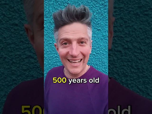 and the MYSTERY episode 500 guest is...