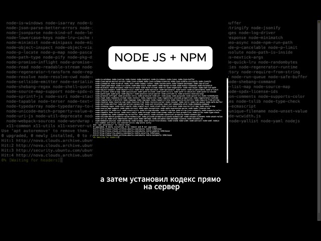Я запустил Codex на своём VPS 🤖 Что умеет AI на сервере?
