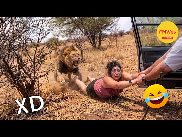 IF YOU LAUGH YOU LOSE GOD LEVEL #704 🤣 FUNNY VIDEOS 😎 MEXICAN VIRAL HUMOR 🤣