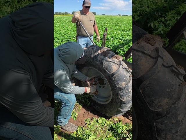 What sound does an impact gun make? # #farming #farmer #agriculture ￼