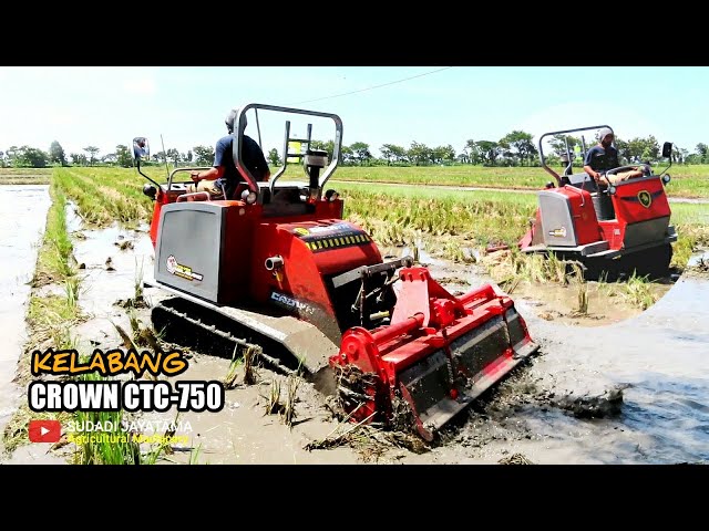 JAPANESE STYLE RICE FIELD PLOWING USING A CROWN CTC-750 KELABANG CRAWLER TRACTOR