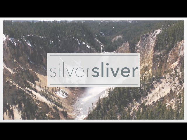 Silver Sliver Studios: Experience the Wonders of Our Planet