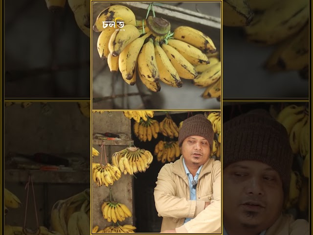 স্বর্ণ নাকি কলা? কোনটি লাভজনক? || চলতি