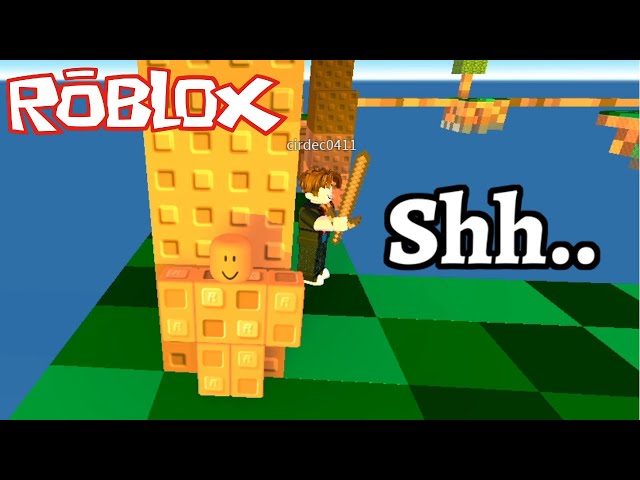 Roblox Skywars CAMOUFLAGE Trolling (MEMES)