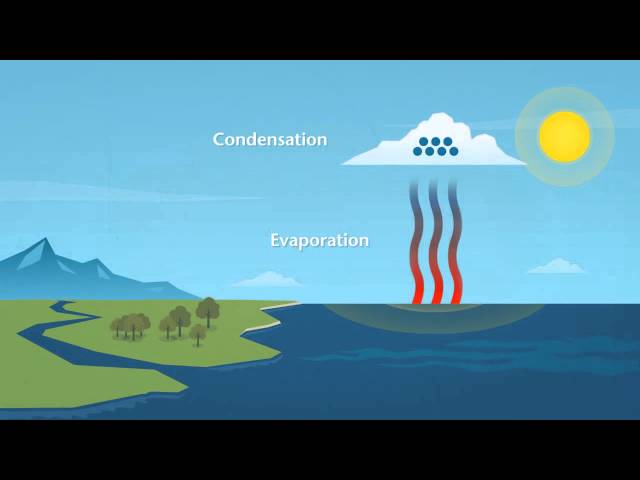How does rain form and what is the water cycle?
