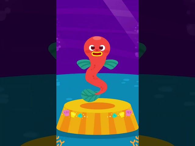 #shorts Ocean Dance | Sea Animal Dance | Nursery Rhymes & Kids Songs