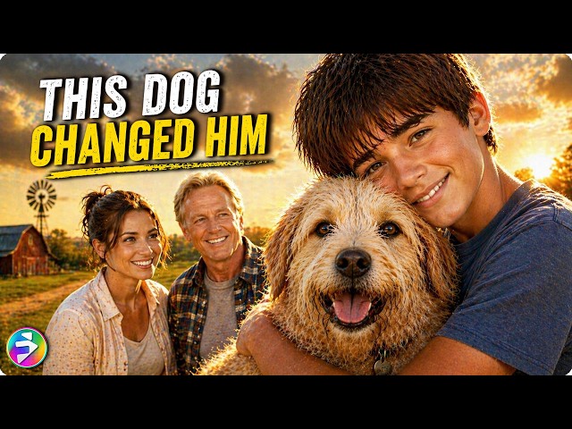 This Dog Was Supposed to Be Temporary… He Changed Everything | Full Movie