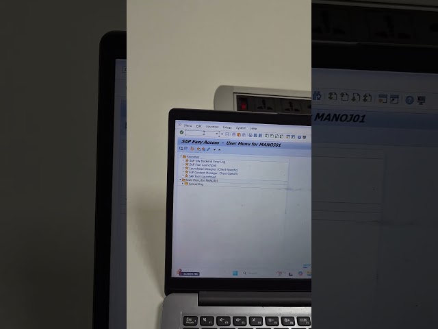 ✅️How to change colour theme in SAP