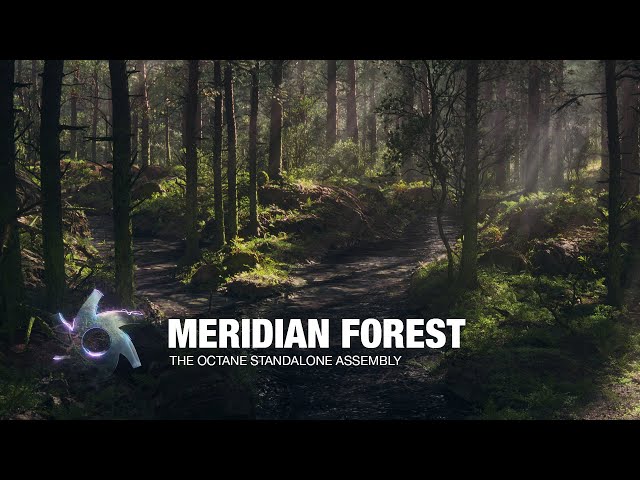 Meridian Forest | CG Scene Breakdown