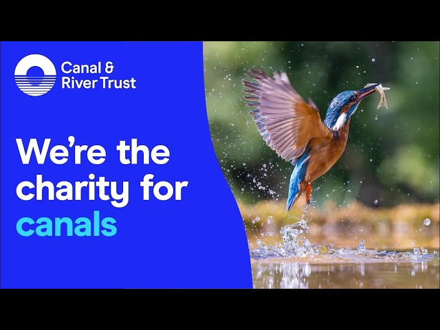 We're the charity for canals