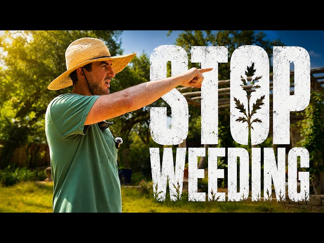 The Texas Yard That Weeds Itself