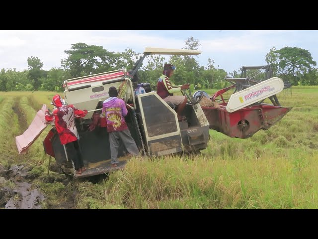 Kombi Sawah BIMO 102 SS Samudra Group memanen di Nglandung Madiun | MT3 2024