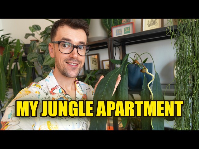 6 Plants That Turned My Tiny Apartment Into a Jungle