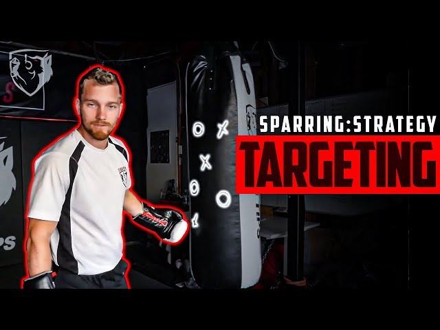 Sparring Strategy: Boxing Targeting & Reaction Time