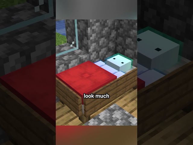 cushion blankets