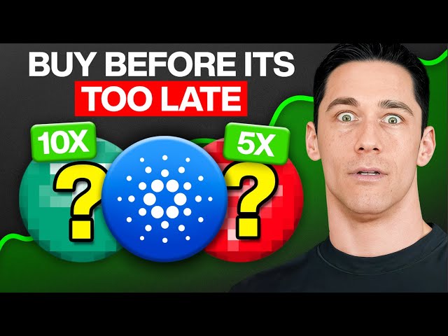 Top 3 Undervalued Crypto Coins You Need to Buy RIGHT NOW