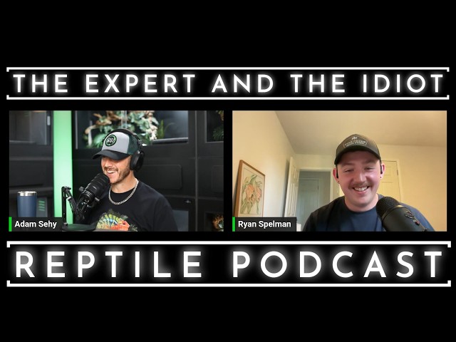 147 - The IDEAL Captive Python with Ryan Spelman - The Expert and The Idiot - A Reptile Podcast