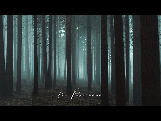 Ludovico Einaudi - I Giorni (Soft Piano)