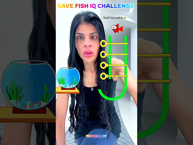 #edit