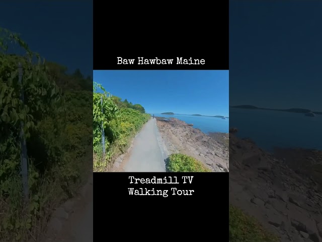 #marathontraining #hiking #barharbor