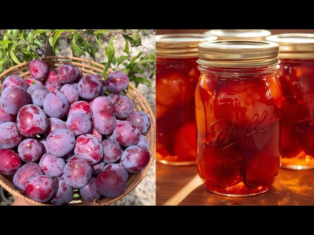 From Plum Tree to Jar | Water Bath Canning & Freezing Plums Naturally