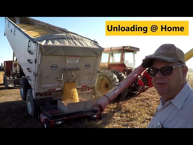 "It Eats the Grain", Unloading 1000 Bushel of Corn into Grain Bin, Corn Harvest