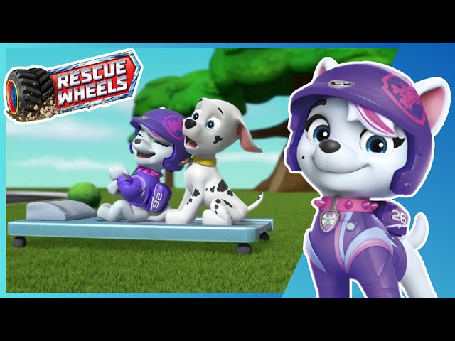 Rescue Wheels: Pups Save Adventure Bay! - Crash Course